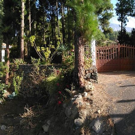 Floral Garden House Villa Icod De Los Vinos Exterior photo