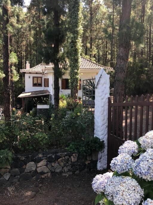Floral Garden House Villa Icod De Los Vinos Exterior photo