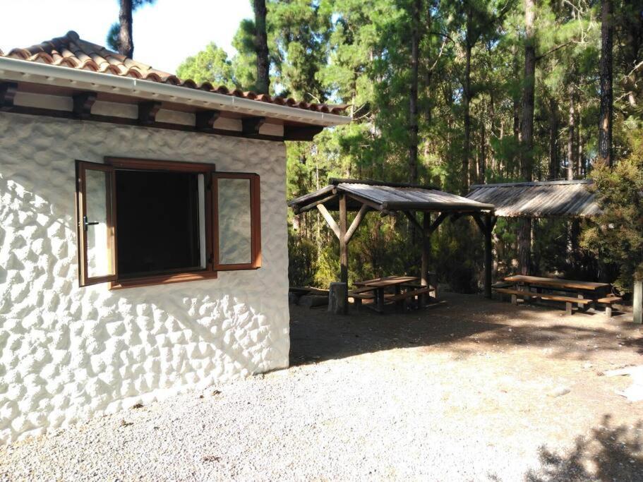 Floral Garden House Villa Icod De Los Vinos Exterior photo