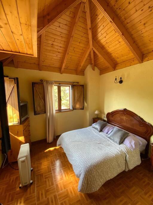 Floral Garden House Villa Icod De Los Vinos Exterior photo