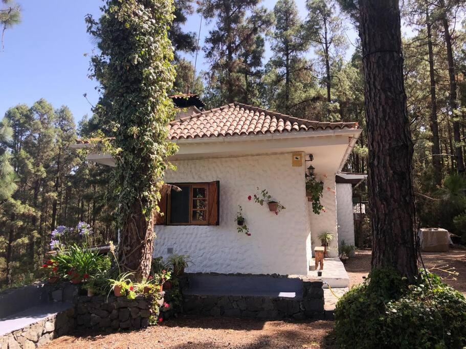 Floral Garden House Villa Icod De Los Vinos Exterior photo